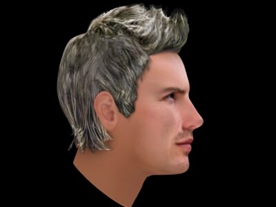 David Beckham hair – 3D model