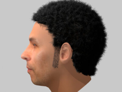 Max Curato hair – 3D model