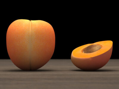 Apricot – 3D model