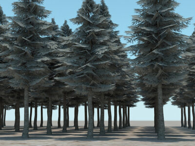 Fir tree 3 – 3D model