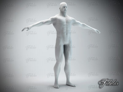 Male body printable – 3D model