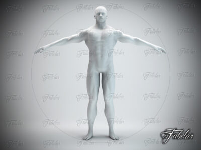 Male body – 3D model