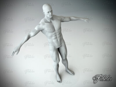Male body – 3D model