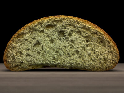 Long loaf – 3D model