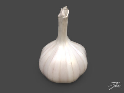 Garlic lowpoly – 3D model