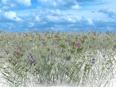 Grass 06 – 3D model