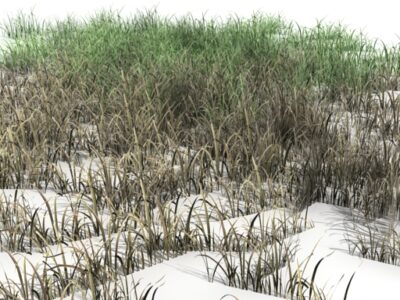 Grass 04 – 3D model
