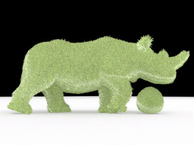 Rhinoceros shrub FREE – 3D model