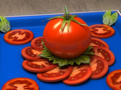 Tomato – 3D model